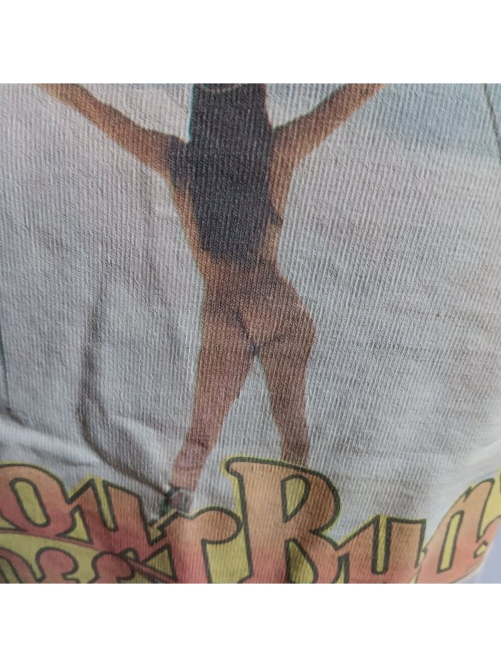 "Ski Your Buns Off" Roach Vintage T-Shirt Small Single Stitch Springfoot 1970s